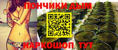 прущие крисы Можга