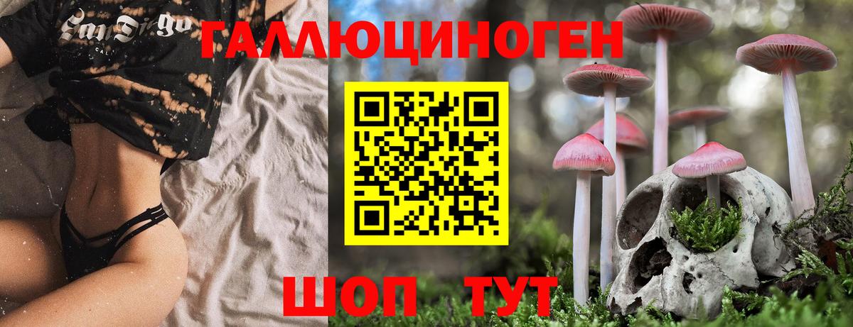 Галлюциногенные грибы Cubensis Сунжа