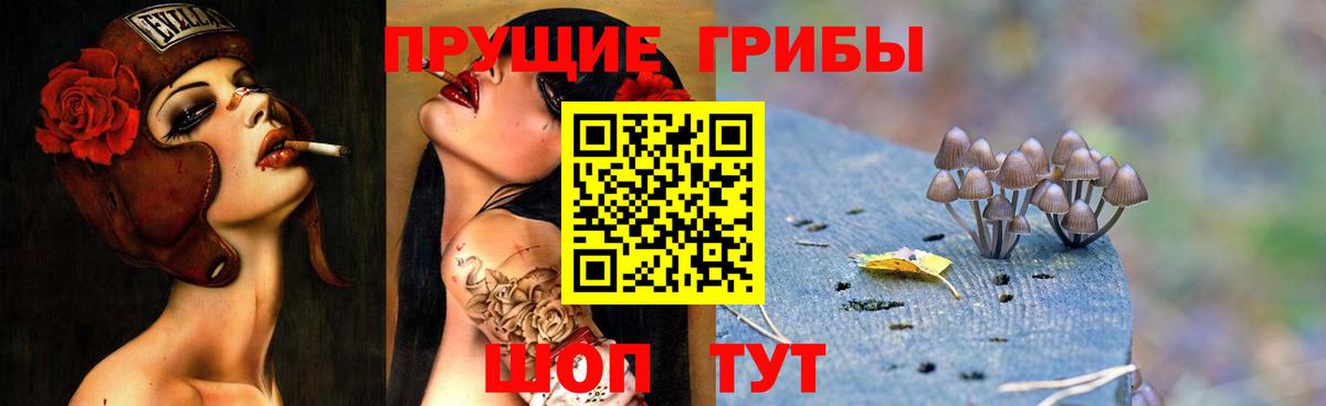 Сунжа  Псилоцибиновые грибы мухоморы  Вход с VPN  Псилоцибиновые грибы Cubensis 